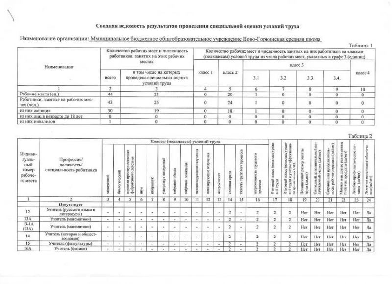 Отчёт о проведении специальной оценки условий труда в Муниципальном бюджетном общеобразовательном учреждение Ново-Горкинская средняя школа от 29 декабря 2020 года